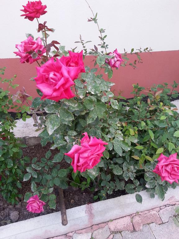 Keramos Pansiyon Finike Exterior photo